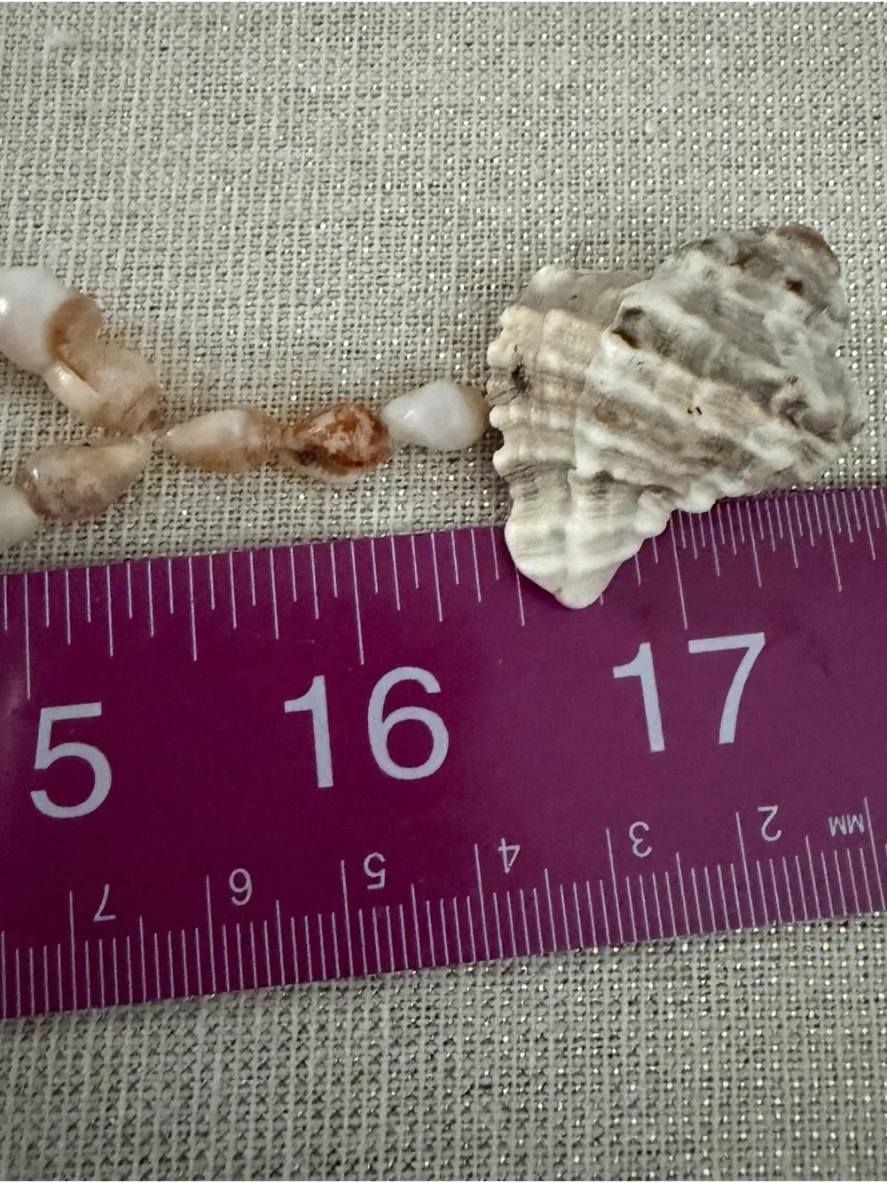 Vintage Natural Beige Shell Bead Necklace - Women Jewelry
